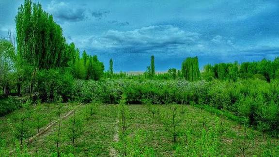 Ghazni images