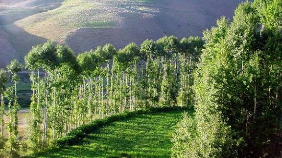 ghor images