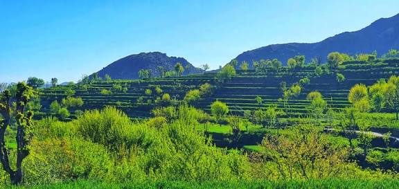 jalalabad images
