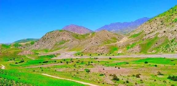 logar images