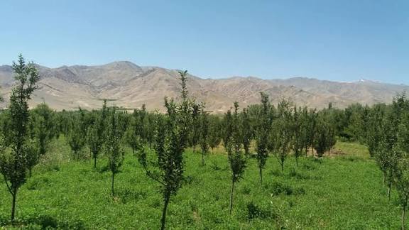 Maidan-Wardak images