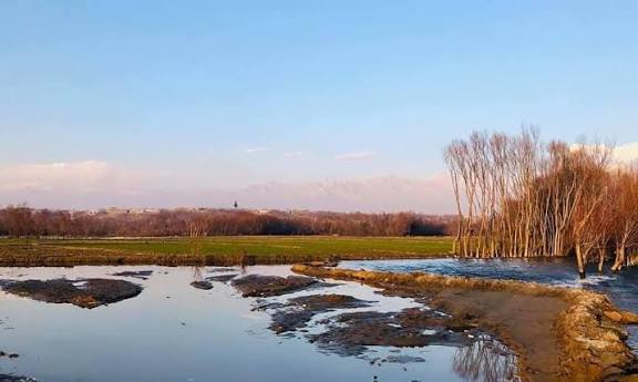 parwan images