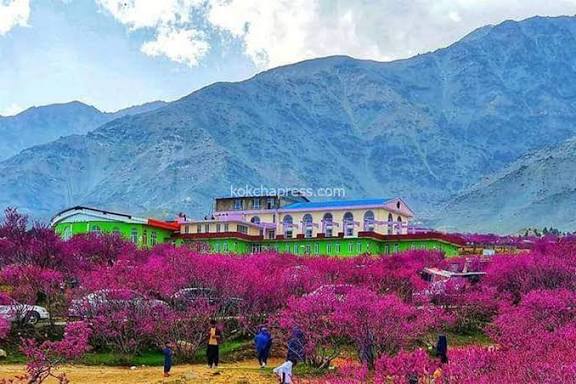 parwan images