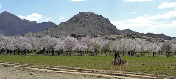 zabul images